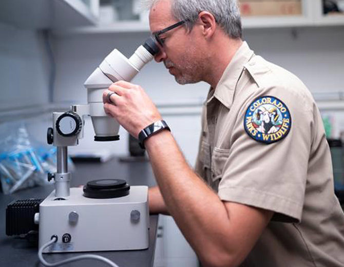 researcher looking through microscope