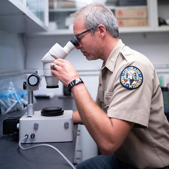 researcher looking through microscope