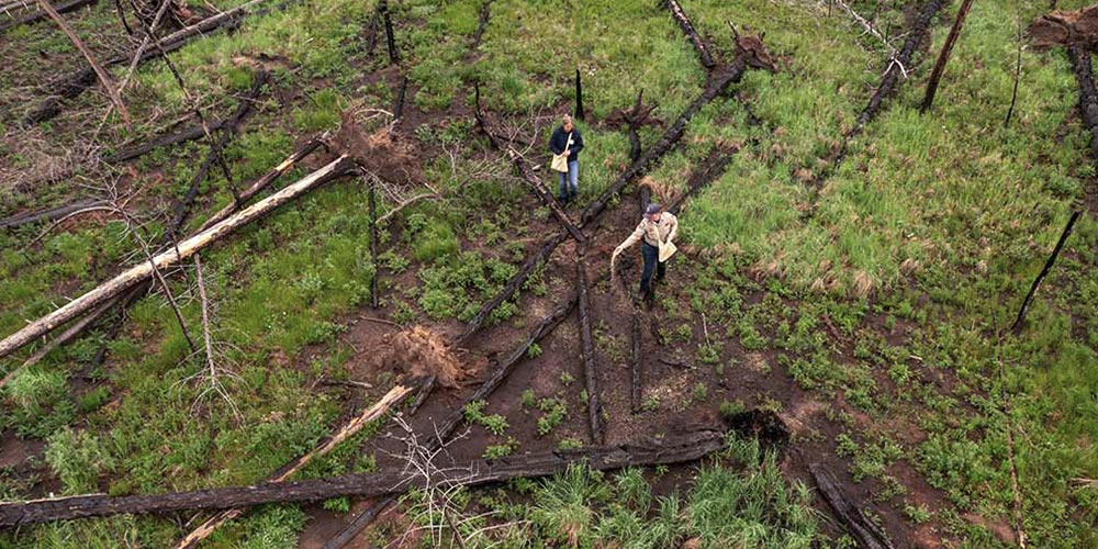 CPW employees reseeding an area to manage to the habitat.