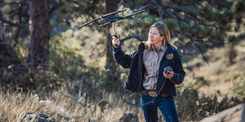 A CPW employee using a tool to scan a habitat