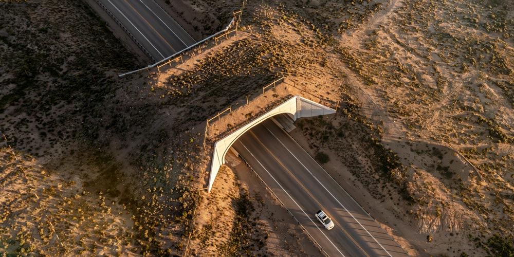 A wildlife crossing bridge over a highway in Colorado.