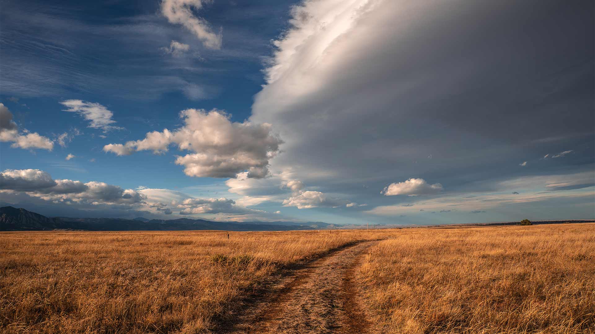 Colorado Wildlife Council Meeting: Dec 18